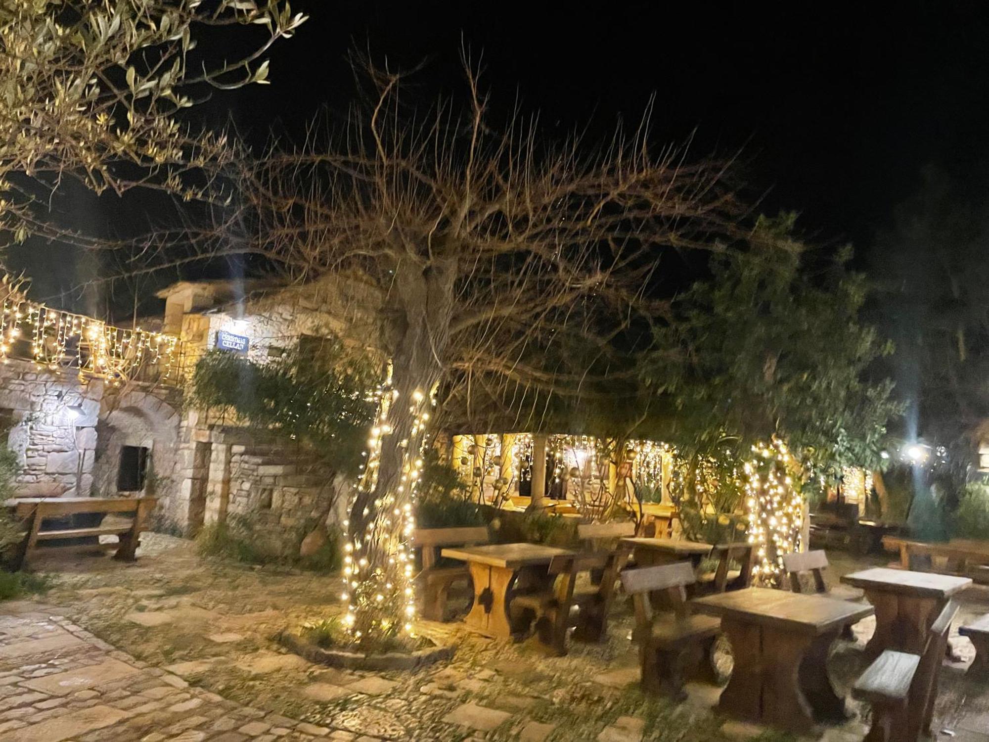 My Adriatic Place With Private Garden And Garage Šibenik Exteriör bild